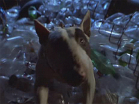 Babe 2: pig in the city
