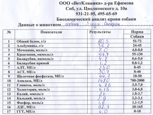 Результат биохимического анализа крови собаки после года употребления корма First Class