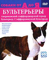 Собаки от А до Я: бультерьеры