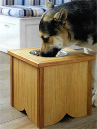 dog-bowl-s.jpg